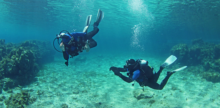 Two people scuba diving