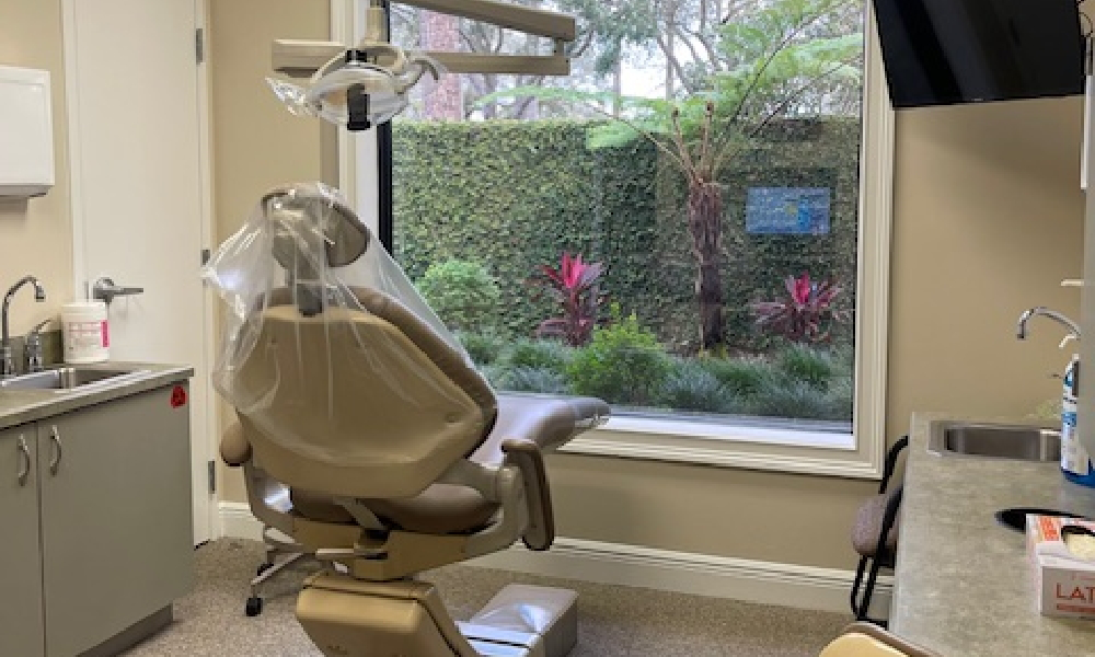 Dental treatment room with hedges visible through the window